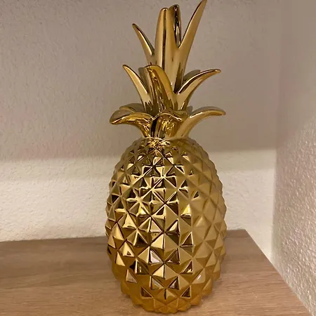 アパート Le Foyer D'or - Hypercentre & Confort アジャン