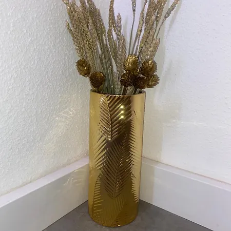 Le Foyer D'or - Hypercentre & Confort * アジャン