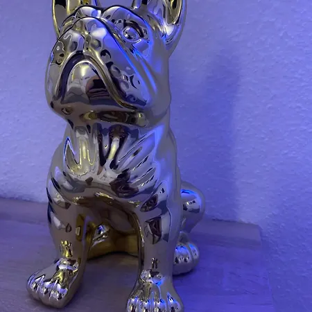 Le Foyer D'or - Hypercentre & Confort *