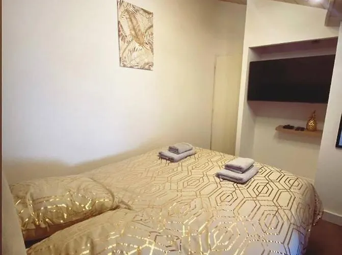 Le Foyer D'or - Hypercentre & Confort アパート アジャン