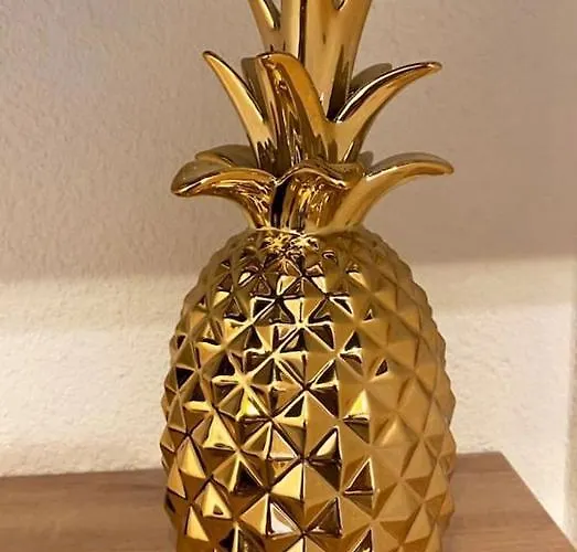 アパート Le Foyer D'or - Hypercentre & Confort アジャン