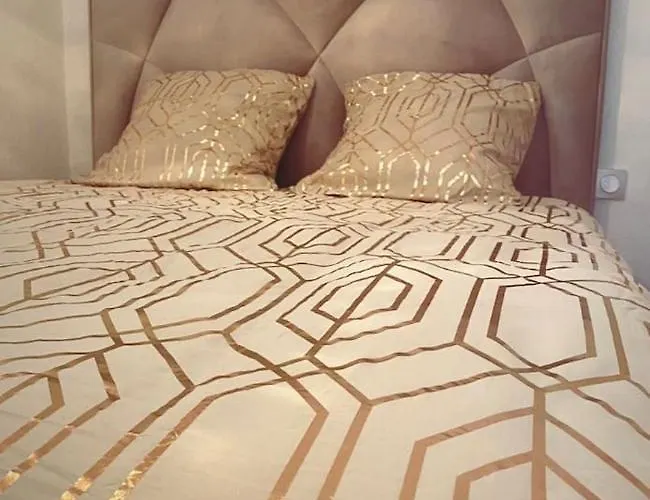 Le Foyer D'or - Hypercentre & Confort アパート アジャン