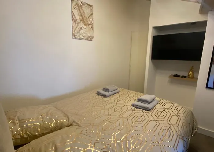 Le Foyer D'or - Hypercentre & Confort * アジャン