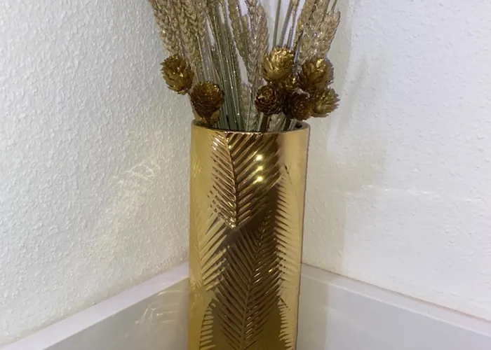 Le Foyer D'or - Hypercentre & Confort * アジャン